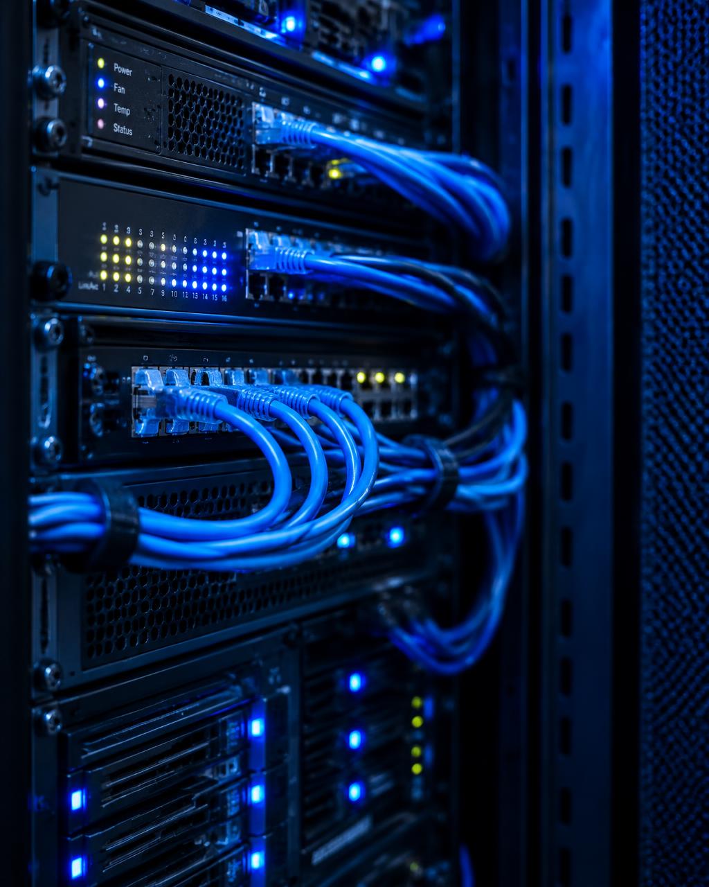 Network switches and cabling in a server rack